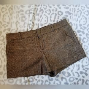 CK Gold $Black Metallic Shorts